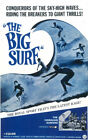396564 THE BIG SURF Movie WALL PRINT POSTER DE