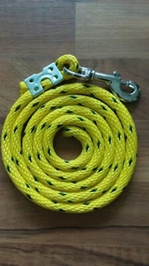 Nylon Poli Mini Caballo Poni Cabra Oveja Perro Cuerda de Plomo EE. UU. Amarillo/Cazador Punto Verde - Imagen 1 de 2