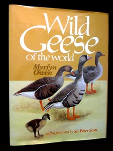 Wildgänse der Welt, ihre Lebensgeschichte & Ökologie (1980-1.) Myrfyn Owen, HB - Bild 1 von 16