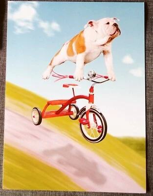 "Bulldog On A Trike", (1) Leanin Tree Get Well Card, New With (1) Envelope - Image 1 of 4