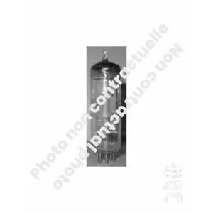 50DC4 MARCHE DIVERSE / VARIE MARCHE Tubo - Bild 1 von 1