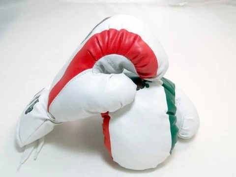 Mexico - 20oz boxing Gloves Sport Fitness Training [Misc.] [Misc.] Cover