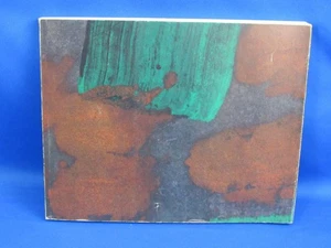 Howard Hodgkin Indian Leaves Petersburg Press 1982 UK 1st Edition Bruce Chatwin - Picture 1 of 4
