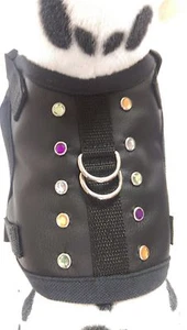 Hundegeschirr M, Softgeschirr, Brustgeschirr, Kunstleder schwarz Halsband, - Bild 1 von 5