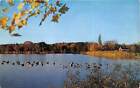 Kirtland Ohio 1960s Postcard The Holden Arboretum Flocks Of Ducks