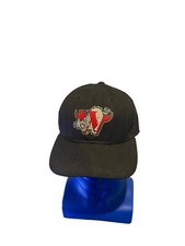 Vintage Winston Salem Warthogs Hat New Era Pro Model MiLB Baseball Snap Back Cap