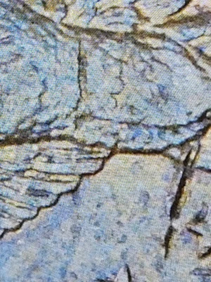 2000 D SACAGAWEA DOLLAR  MINT ERROR WOUNDED/SPEARED EAGLE RARE! LOTS OF PICTURES - Image 1 of 4