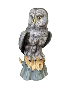 Vintage Ski Country The Great Gray Owl Decanter 1985 Signed Limited Edition Rare 12” - Bild 1 von 7