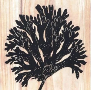 Tree Wall Art On Canvas  50cm x 40cm    C2 - Picture 1 of 1