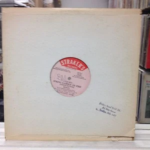 [REGGAE]~EXC 12"~The REBLES~Spring Garden On Fire (Club)~Garden Jam~[1987]~ - Picture 1 of 4