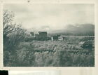 Abisko tourist station with lapporten in the ba... - Vintage Photograph 2036056