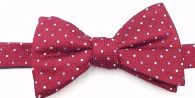 95 美元 Countess Mara 男式红色蓝色圆点领结丝绸经典可调节领结 — 第 1/4 张图片