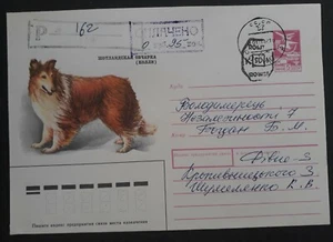 1992 Soviet Union Scottish Collie 5K Stamped Cover Rovnoye - Bild 1 von 2