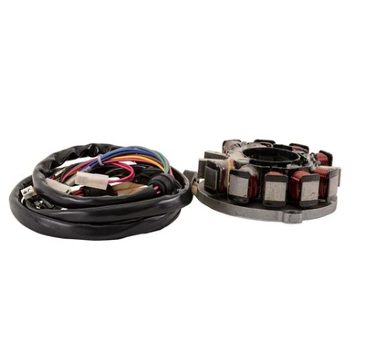 Estator SBT compatible con Polaris 4010403 SLTX, SL900, SL1050, SLXH Foto 1 de 4