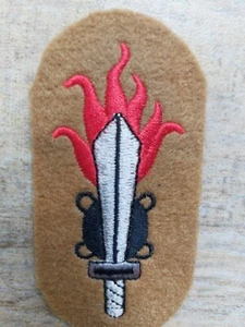 Official insignia of the Genio Guastatori in fabric and embroidery Fregio - Foto 1 di 8