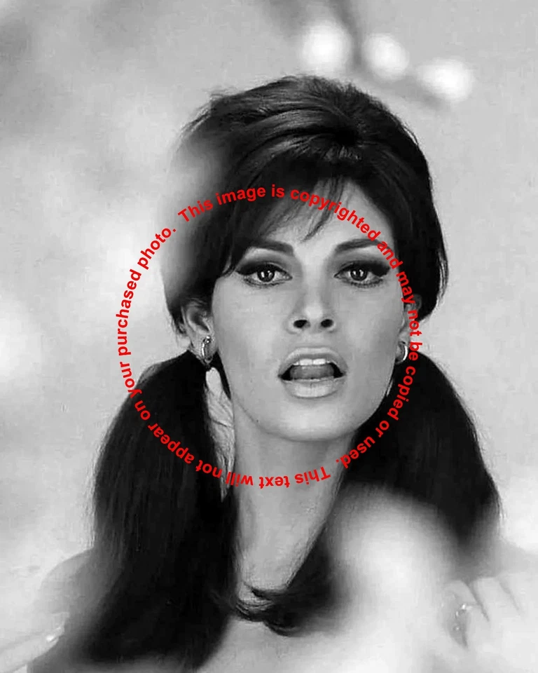 Raquel Welch with Ponytails - Image 1 of 1