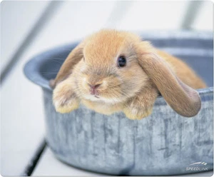Speedlink tapis de souris RABBIT - Afbeelding 1 van 1