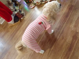 Hundeschlafanzug, dehnbar, gestreift, Erdbeere, Rüschenärmel, klein * (Details lesen) - Bild 1 von 6