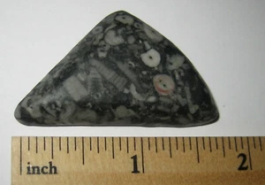 1.7" TUMBLED NATURAL CRINOID MARBLE FOSSIL STONE FROM THE OCEAN FLOOR ~ 12g *23 - Picture 1 of 2