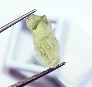 Piedra preciosa suelta certificada áspera de peridoto natural de 3,75 quilates con regalo gratis - Imagen 1 de 6