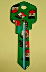 Brand New 2024 VIVA MEXICO MEXICAN FLAG on Green KW1/KW10 House Key Blank - Picture 1 of 2