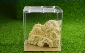 Natural Acrylic Ant Farm Ecological Ant Nest with Feeding Area Ant farm - Picture 1 of 6