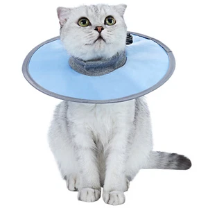 Small Cat Dog Recovery Collar Protective Adjustable Pet Cone for After Surgery - Picture 1 of 6