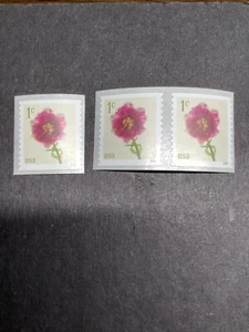 Scott#5902-1c Tulip Flowers-Coil Pair&Single-2024-MNH-US - Picture 1 of 1