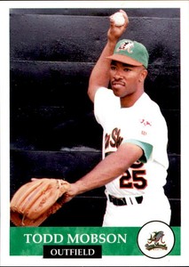 1994 Mobile Baysharks Collect-A-Sport #12 Todd Mobson Indianapolis Indiana Card