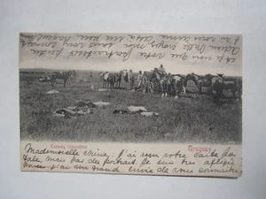 1903 URUGUAY ESCENAS CAMPESTRES - Imagen 1 de 2