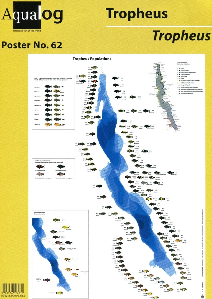 AQUALOG Poster All Tropheus Cichlids, LAMINATED - Image 1 of 1