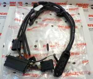 1998-2003 Ducati 900SS SuperSport original factory main wiring harness 51011491A - Foto 1 di 1