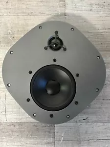 Altavoz Dynaudio Air 20 Panel 81041 con Tweeter 81997 Mid 84331 y Crossover - Imagen 1 de 6