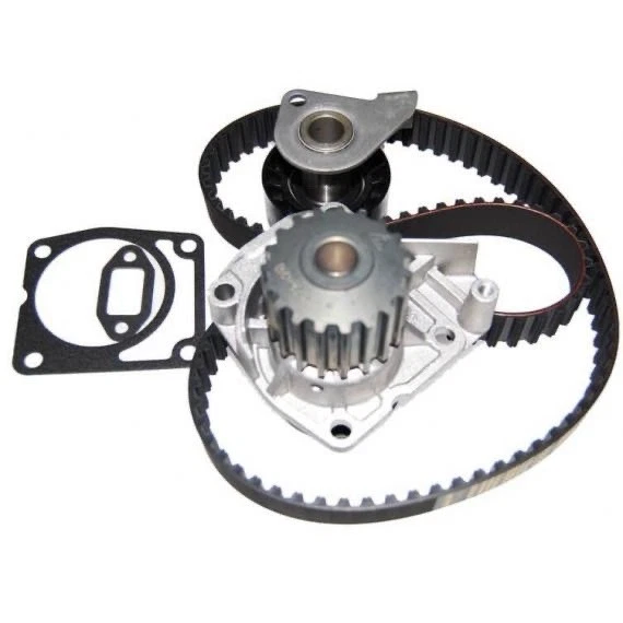 KIT DISTRIBUZIONE LOMBARDINI PROGRESS FOCS MICROCAR CHATENET LIGIER GRECAV - Immagine 1 di 1