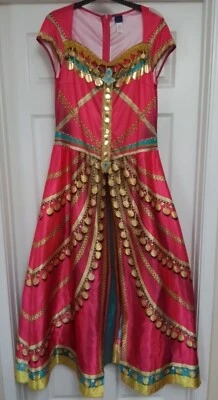Suit Yourself Disney India Inspired Adult Princess Dress XL - Image 1 of 4