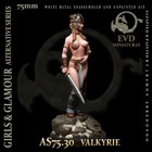 m EL VIEJO DRAGON - AS75.30 - Scala 75 mm - Valkirie
