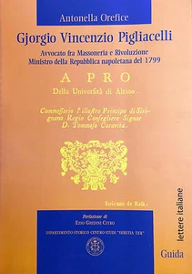 (Napoli) A. Orefice - GJORGIO VINCENZIO PIGLIACELLI - Guida 2010 - Imagen 1 de 1