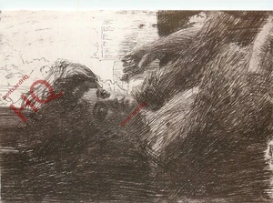 Picture Postcard, Anders Zorn - Picture 1 of 2
