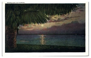 Mondschein in Florida Postkarte - Bild 1 von 2