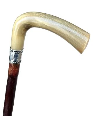 Antiguo bastón bastón de bambú de plata esterlina cuerno de ganado de 1899 de colección Foto 1 de 4