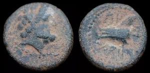 Phoenica, Arados. Moneta greca antica. 137-51 a.C. Æ 16 mm. 3,44 grammi. #231 - Foto 1 di 3