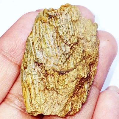 Piedra preciosa suelta áspera ojo de gato crisoberilo 100 % natural 54,40 quilates con regalo gratis Foto 1 de 4