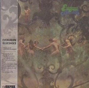 evergreen blueshoes: the ballad of evergreen blueshoes CD - Picture 1 of 1