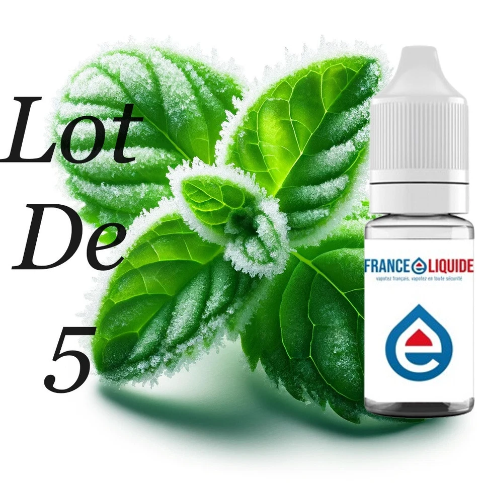 FEL E liquide Menthe Glaciale 5 X 10ml 70/30 17MG