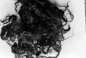 Ethical Mohair Fleece loose Black 50g - Picture 1 of 2