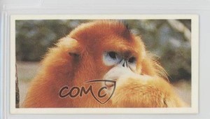 1992 Brooke Bond Natural Neighbors Tea Golden Monkey #34 2h8