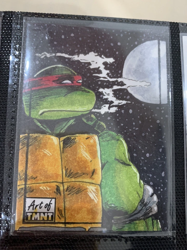 Turtle Sketch Card - Image 1 of 1