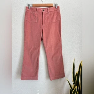 Pantalones cortos Steven Alan de terciopelo rosa claro pierna recta talla 6 - Imagen 1 de 5