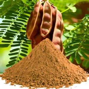 Shikakai Powder | 100% Natural Organic | Herbal Hair Care for Healthy Growth - Picture 1 of 6