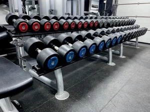 HAMMER STRENGTH DUMBBELL SET RUBBER URETHANE DUMBBELLS 2 RACKS GYM EQUIPMENT UK - Picture 1 of 1